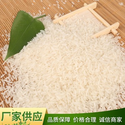 厂家批发玉倩 软香大米 农家基地包装5KG10KG/15KG/25KG 精诚食品