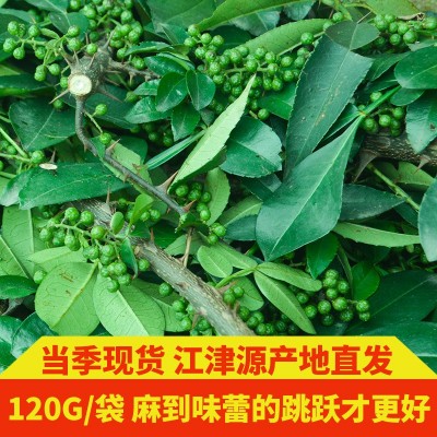 四川特产新鲜青花椒食用特麻重庆江津九叶青藤椒120g麻椒调味品