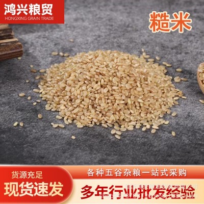 厂家批发五谷杂粮磨粉原料散装东北特产糙米 粗粮原粮熬粥糙米