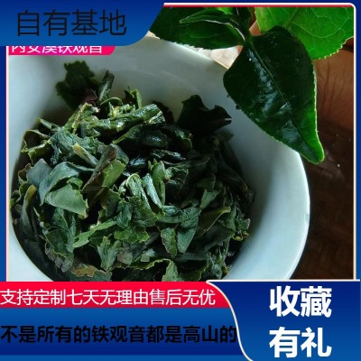 原产地供应清香型安溪铁观音茶叶批发 自有茶园基地 厂家直销