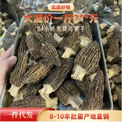 【羊肚菌】云南特产干羊肚菌散装头茬剪柄羊肚菌干货批发代发500g