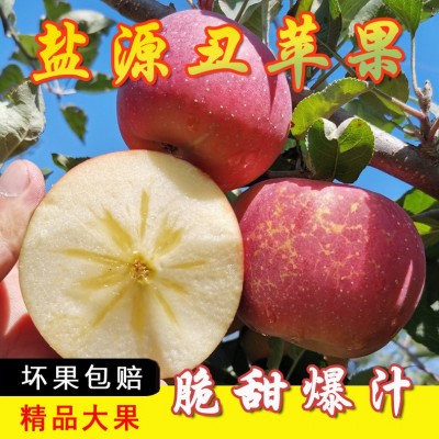 丑苹果新鲜水果四川大凉山盐源冰糖心当季红苹果一箱包邮整 箱代发