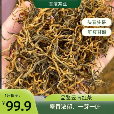云南红茶蜜香金丝滇红散茶厂家直供现货批发网红同款茶叶