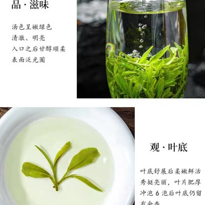 2024新崂山绿茶叶高山云雾春季绿茶耐泡豆香浓100g装青岛特产送礼