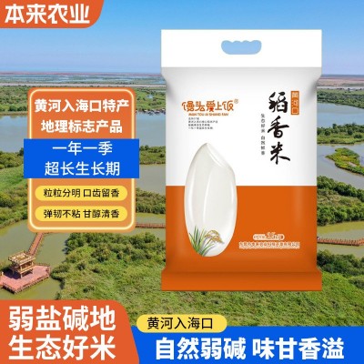 当季新米东营黄河口大米2.5kg盐碱地5斤稻香大米一季稻源头工厂