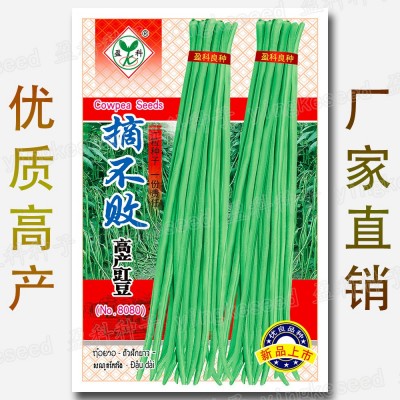 摘不败高产豇豆种籽 约70粒久摘不败长豆角籽 天天摘不败豆角种子