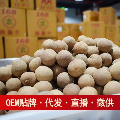 AA级桂圆干整件10kg带壳龙眼干非无核龙眼肉干大果小核肉厚纯天然