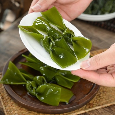 福建霞浦 新鲜盐渍海带结 凉拌炖汤火锅食材 水产品批发 厂家直售