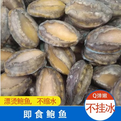冰鲜鲍鱼冷冻鲍鱼 鲍鱼捞饭原料 即食鲍鱼8头酒店商用