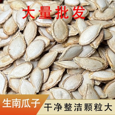 未加工生毛边南瓜籽云南高原特产粒粒饱满产地直供可种植批发散装