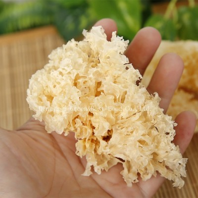 厂家批发 银耳
