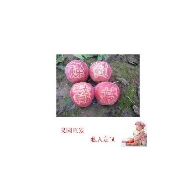 烟台红将军苹果山东代办代收红将军价格产地