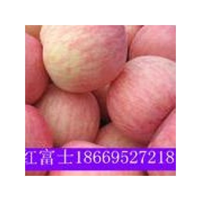 红富士苹果价格 苹果批发