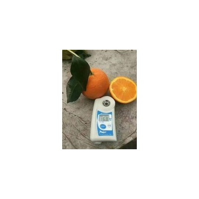 秭归伦晚／看园采果装货／一手货源