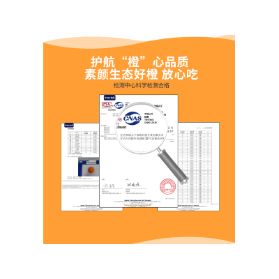 湖北秭归伦晚甜橙