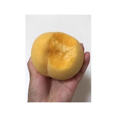 大果早黄美脆，早熟黄桃新品种
