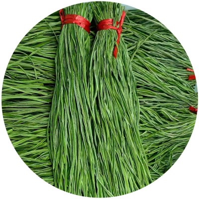 贡菜干货苔干菜2026火锅涮菜苔干贡菜承接工厂外贸跨境出口贡菜干