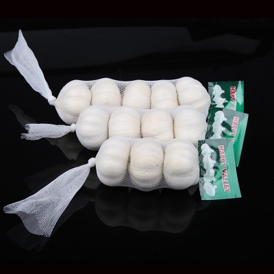 金乡保鲜大蒜紫皮大蒜白皮大蒜 garlic factory可出口鲜蒜