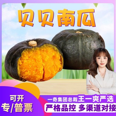 【严选】山东贝贝南瓜 代发3斤应季水果新鲜可蒸煮吊瓜当季蔬菜