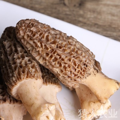 云南新鲜美味羊肚菌 清香爽口新鲜羊肚菌 农家种植 厂家供应