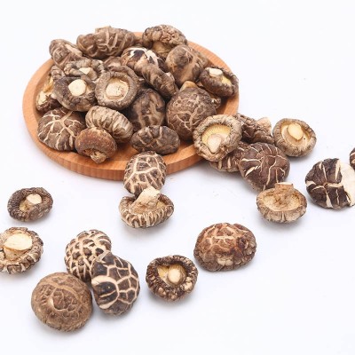 新货2-3-5cm花菇干货500g 西峡香菇干食用菌椴木蘑菇批发