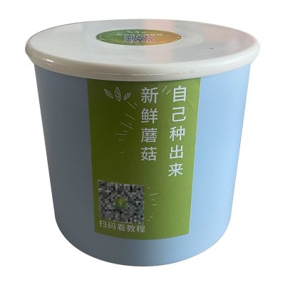 蘑菇种植桶 蘑菇菌菇包 蘑菇种植盒家庭幼儿园室内自己种蘑菇菌包