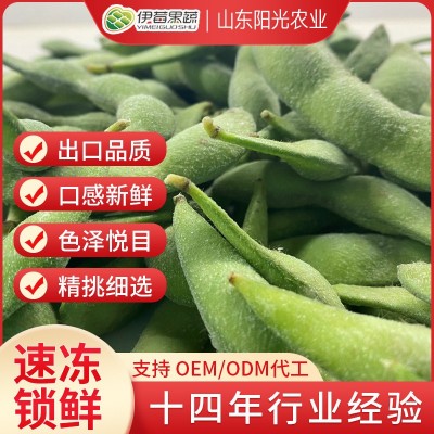 出口级速冻毛豆荚台湾75翠绿宝现货供应冷冻新鲜毛豆加工现货批发