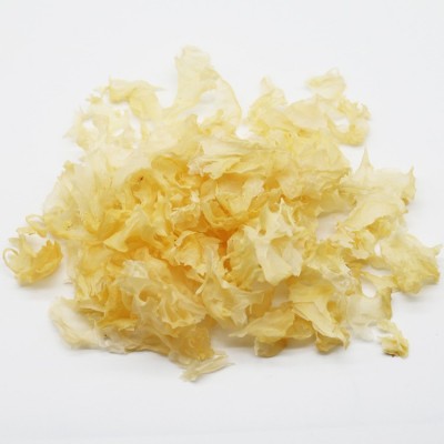 古田大花银耳碎批发白木耳碎片500g品质稳定碎1-3厘米