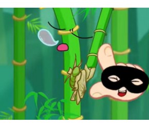 一根竹子分枝就能长成一片竹林？