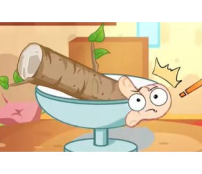 山药发芽了竟长成了这样！！