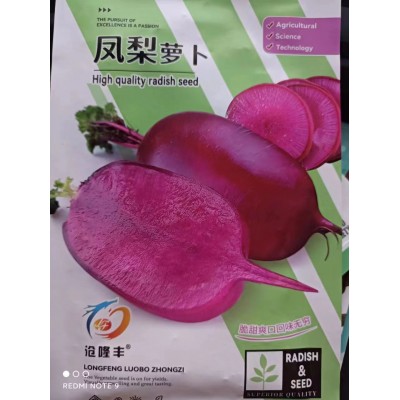 凤梨水果萝卜种子红皮红心萝卜紫美人冰糖水果萝卜种原装种子大全
