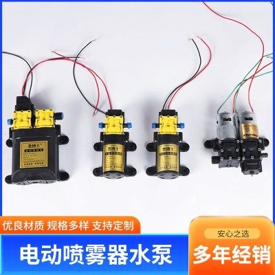 农用电动喷雾器水泵微型电动隔膜泵 电动水泵12V水泵洗车机水泵