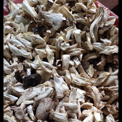 杏鲍菇干货土特产农副产品食用菌农产品500克批发大朵肉厚