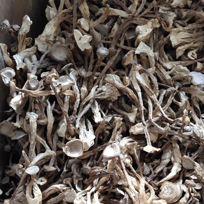 鹿茸菇菌食用菌干货蘑菇酒店食材农产品特产500g批发松茸