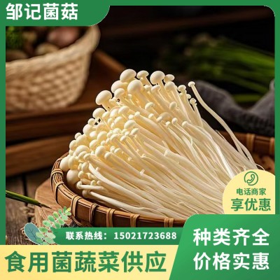 金针菇 现摘现发 色泽鲜亮味道美 涮煮凉拌口感细腻有嚼劲