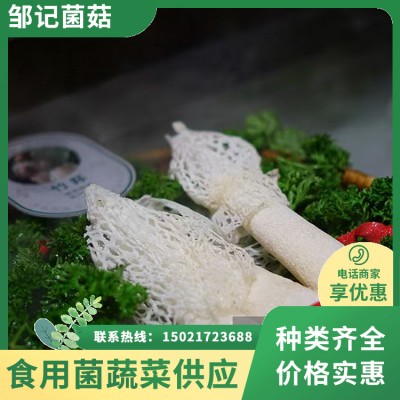 鲜竹荪现摘现发 菌裙完整脆嫩爽口菌柄厚实 菌香四溢