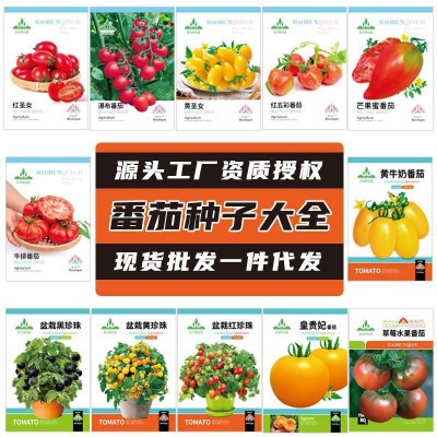 源头厂家批发蔬菜种子大全四季春秋夏季瓜果种籽菜种子菜籽菜种