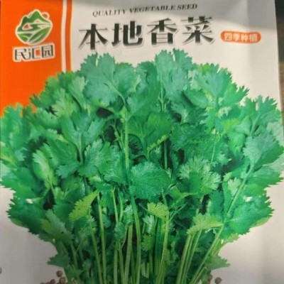 蔬菜种子速生大叶香菜种子批发阳台庭院盆栽大田四季种植香菜种子
