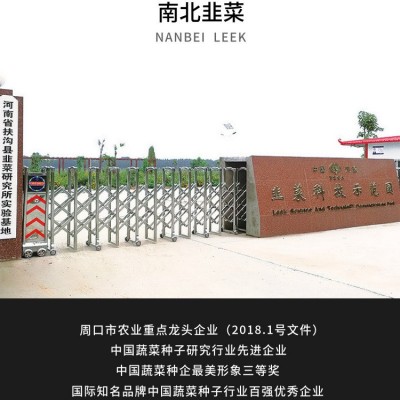南北绿久强推产品 韭菜种子—韭仙子F1