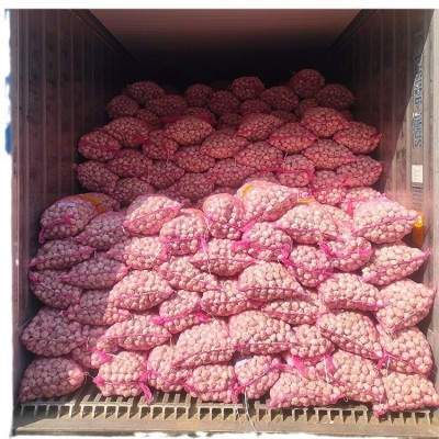 源头厂家出口大蒜 精品网贷包装 货源充足批发大蒜 精品大蒜出口