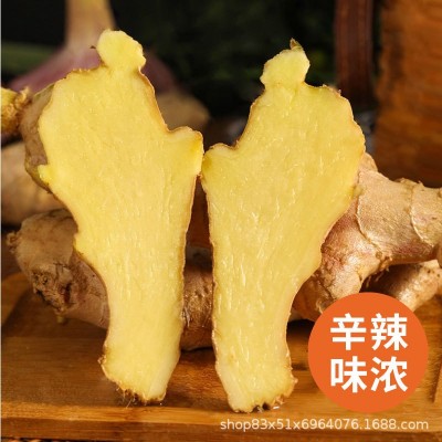 云南小黄姜新鲜批发生姜老姜新姜生鲜块姜1/2/3/5/9/10一件代发