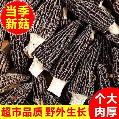 【净重发货】2026云南羊肚菌干货菜类煲汤新鲜牛肚菌火锅食材批发