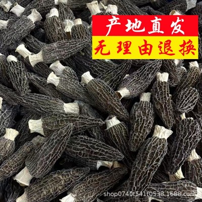 羊肚菌原产地直销批发云南特产精选剪柄干货新鲜烘干当季头茬厚肉