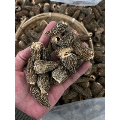 云南头茬羊肚菌干货一斤 林地种植 菌菇汤包煲汤食材批发50g500g