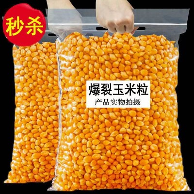当季新货爆米花的玉米粒即食玉米花苞米粒球形爆米花原料厂家发货