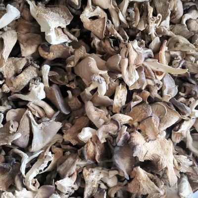 基地批发干平菇500g 平菇干货食用菌南北干货散装菌包