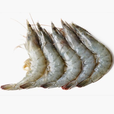 大对虾盐冻大虾批发3040新鲜海虾整箱海鲜水产批发代发3.1-3.3斤