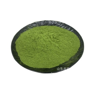 厂家供应脱水蔬菜菠菜粉果蔬面条上色现货供应烘焙原料菠菜粉25kg